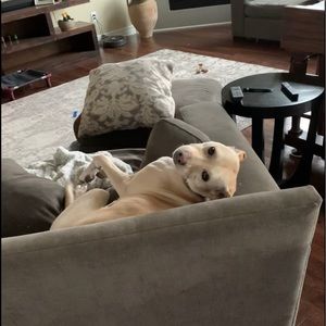 Meet your Posher, Teresa